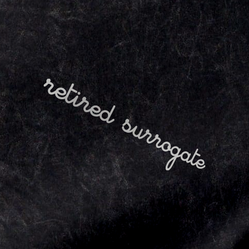 Retired Surrogate Mineral Wash Tee